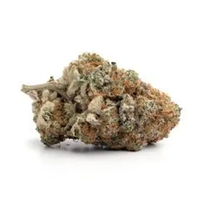 Strawberry Cough > Royal Queen Seeds | Feminisierte Hanfsamen  |  Sativa